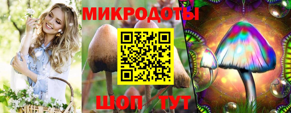 Галлюциногенные грибы Cubensis Рославль
