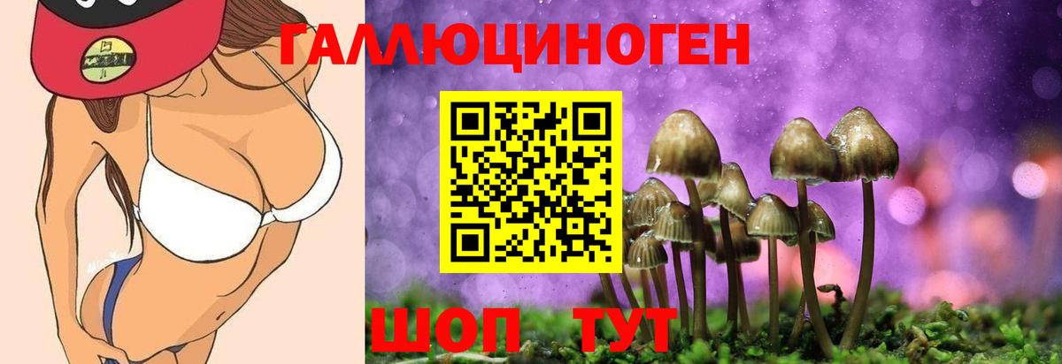 Рославль  Псилоцибиновые грибы Cubensis  Вход с VPN 